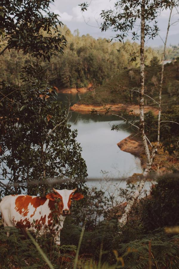 Cabanas Refugio Himalaya Guatapé 外观 照片